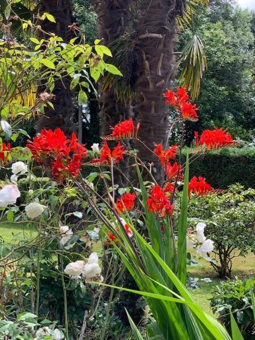 Le Nalousie Villa Livry  Dış mekan fotoğraf