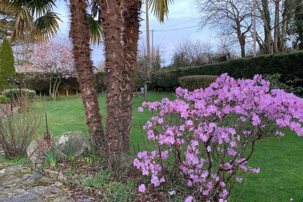 Le Nalousie Villa Livry  Dış mekan fotoğraf